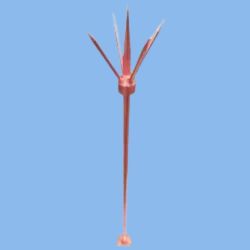 17.2MM Copper Bonded Lightning Arrester 1 Meter