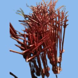17.2MM Copper Bonded Lightning Arrester 1 Meter